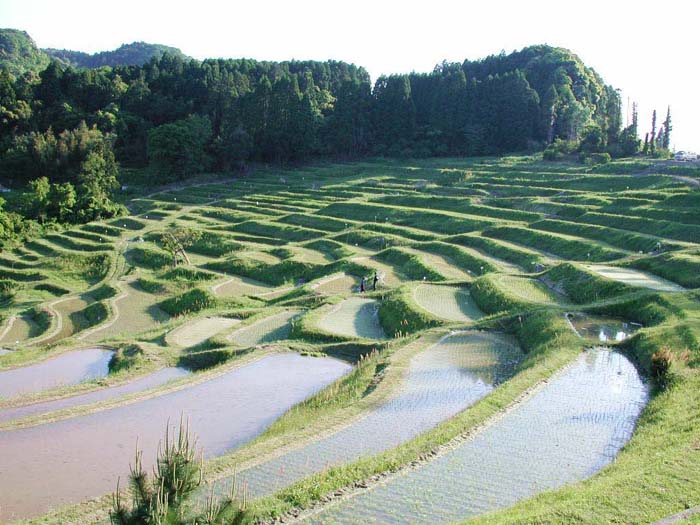 ooyamasenmaida-5gatsu