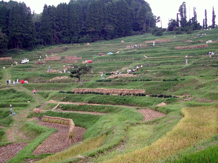 ooyamasenmaida-9gatsu