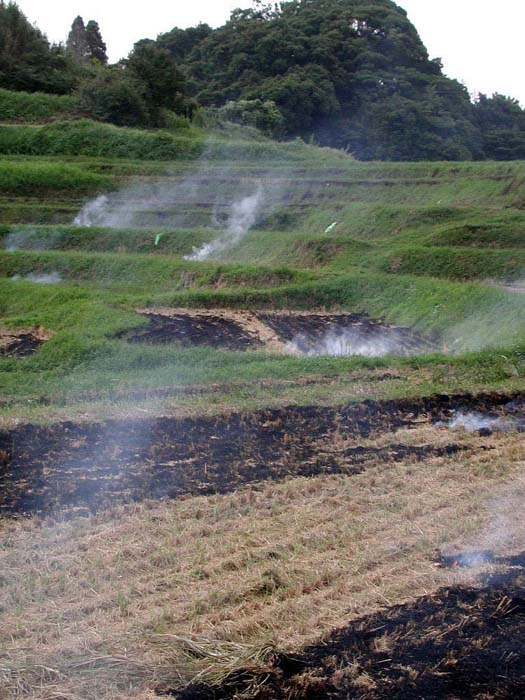 ooyamasenmaida-9gatsub